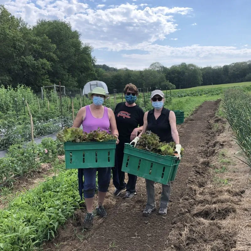 Knox county gleaners scaled e1639069477566 800x800