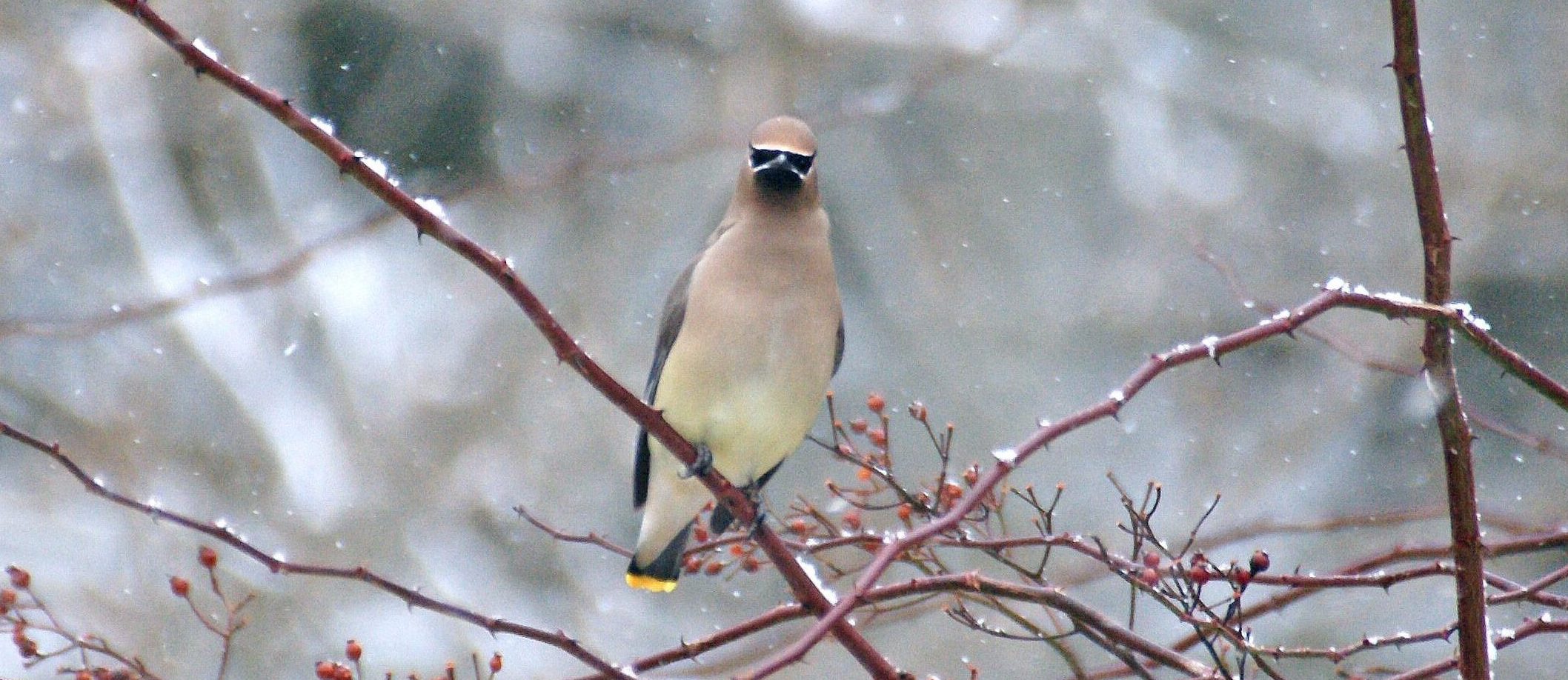 DSC05353 e1647956100985 2