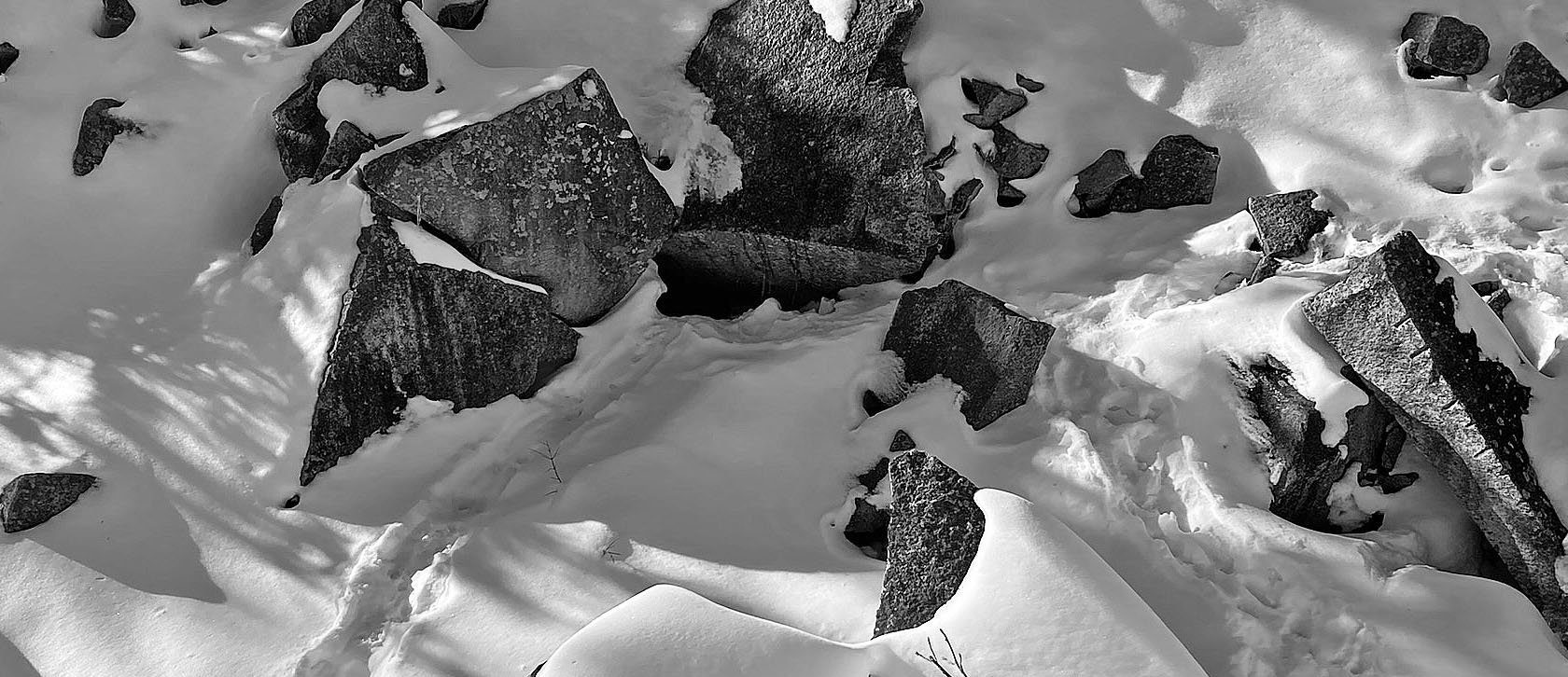 porcusign5 trail leading to rocky den e1647955917817 2