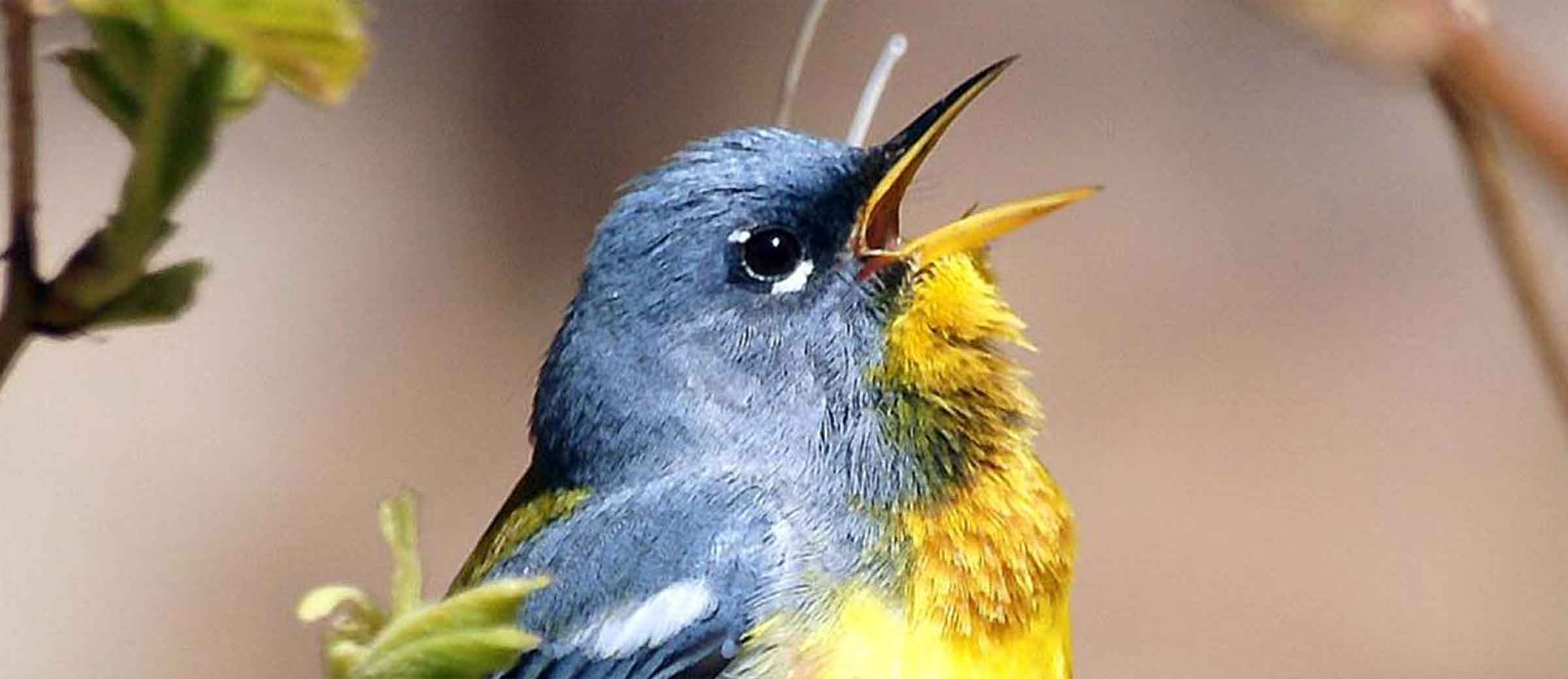 mcht MicrosoftTeams image hero 2