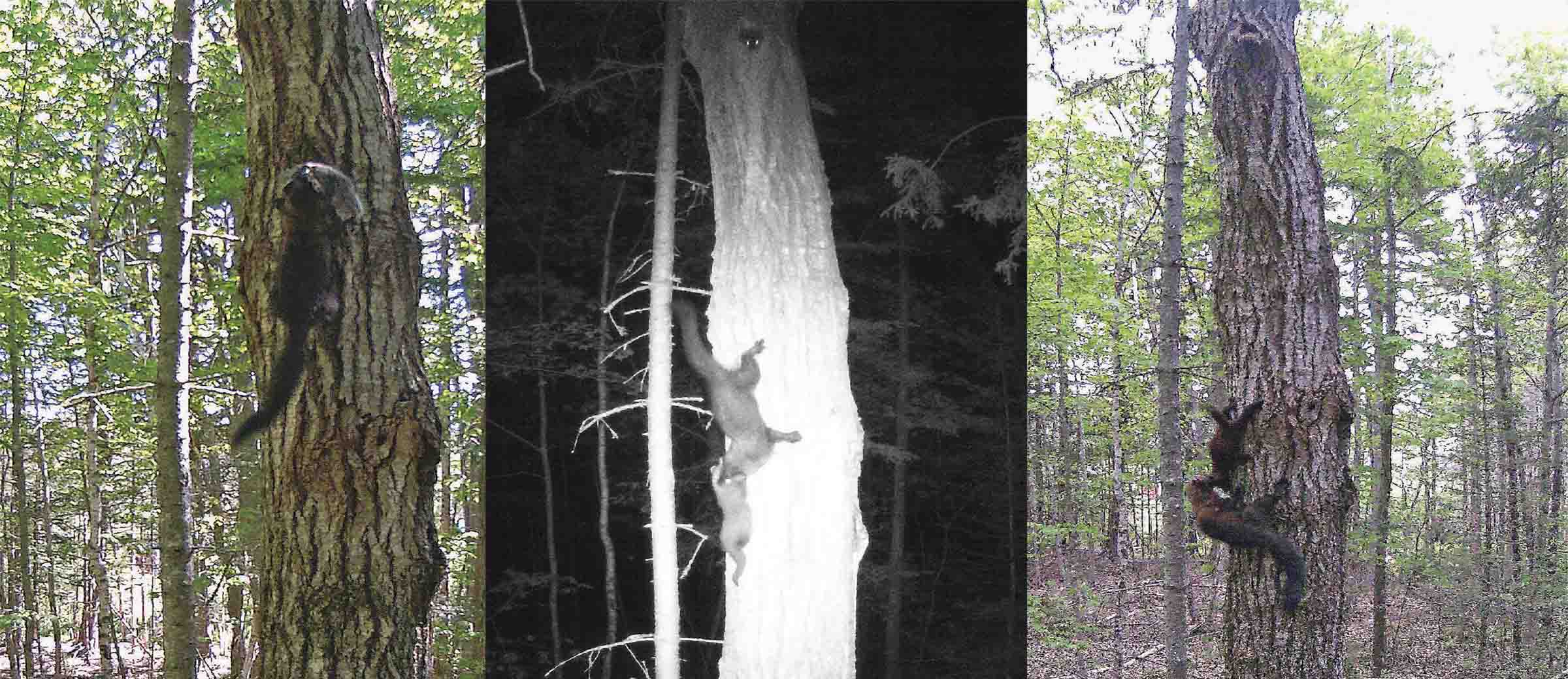 FishersNatureBummin 2