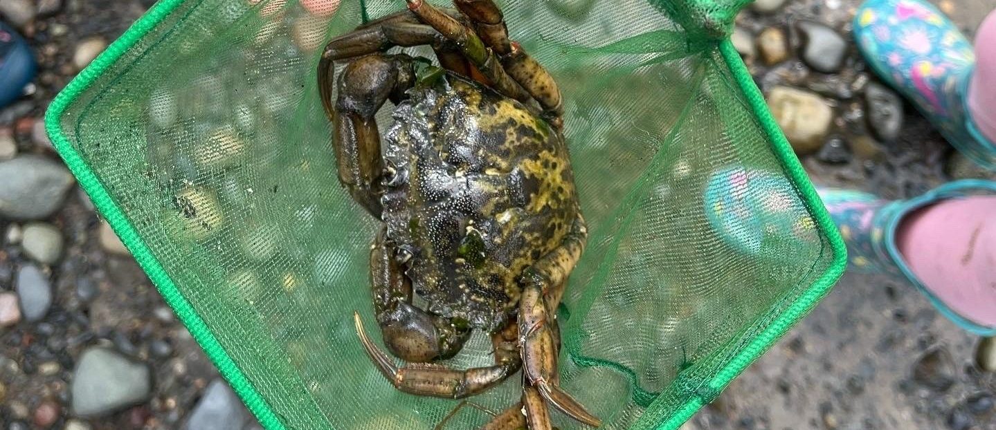 124A69FC 6F92 4489 BA07 19B54526E20B e1659468635756 1