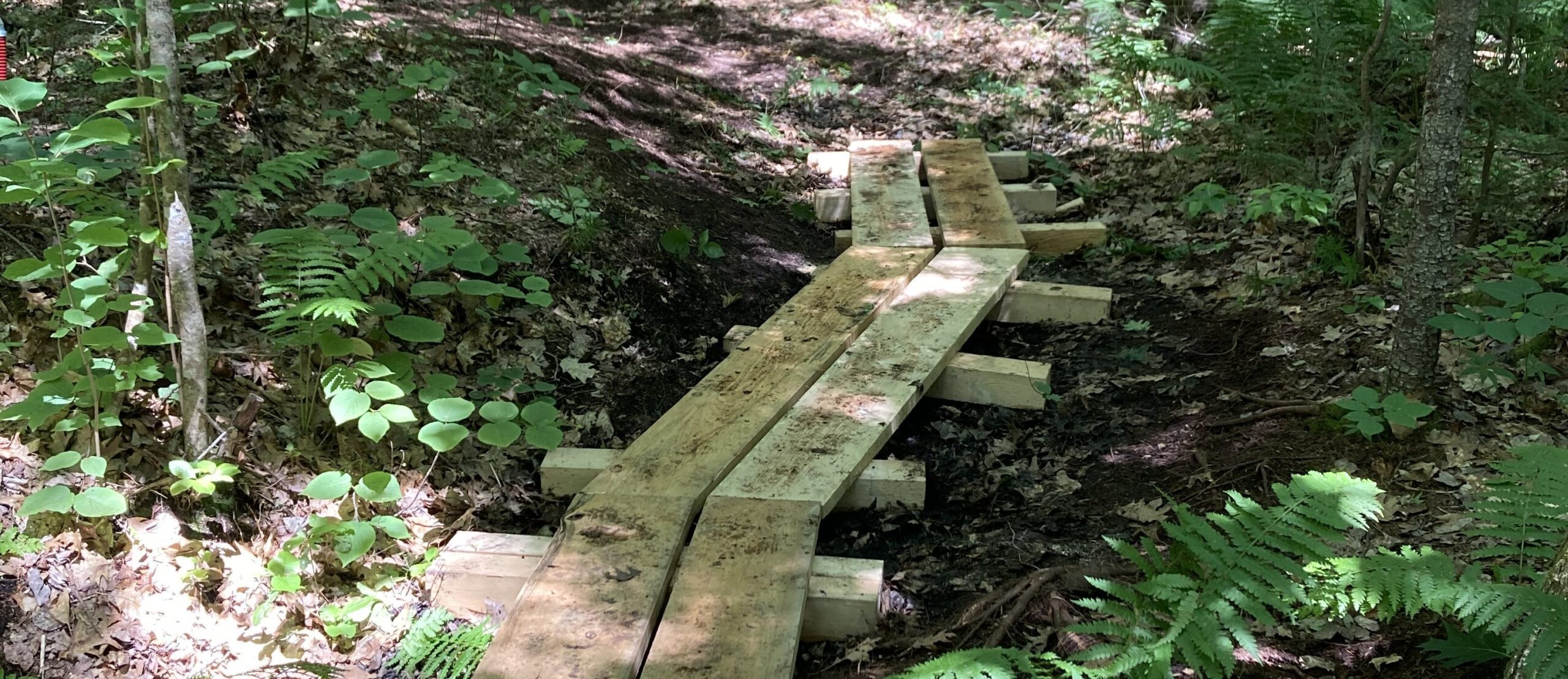 IMG 5830 rotated e1659961500979 1