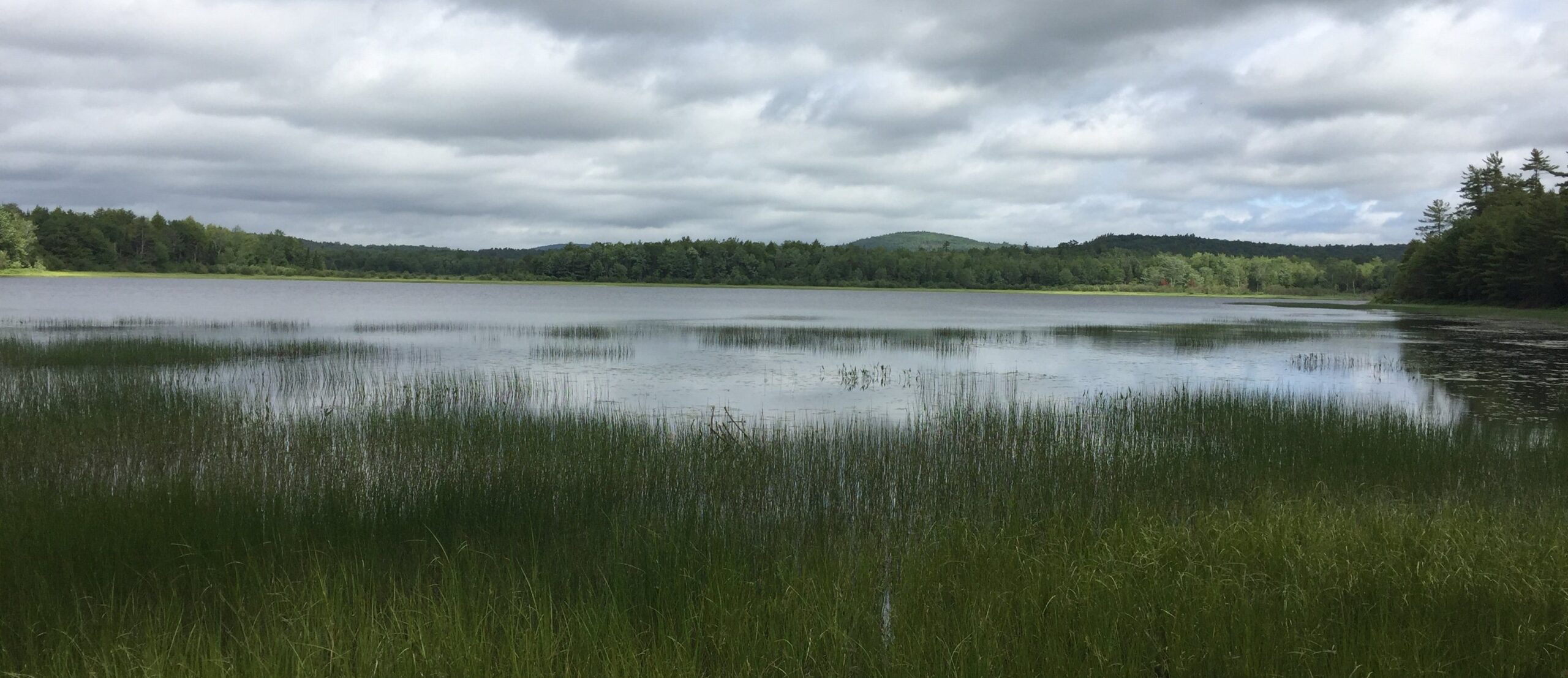 IMG 6549 1 e1659468298534 1