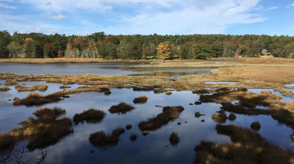 Babson Creek Gilpatric photo 3 2 e1664306143552