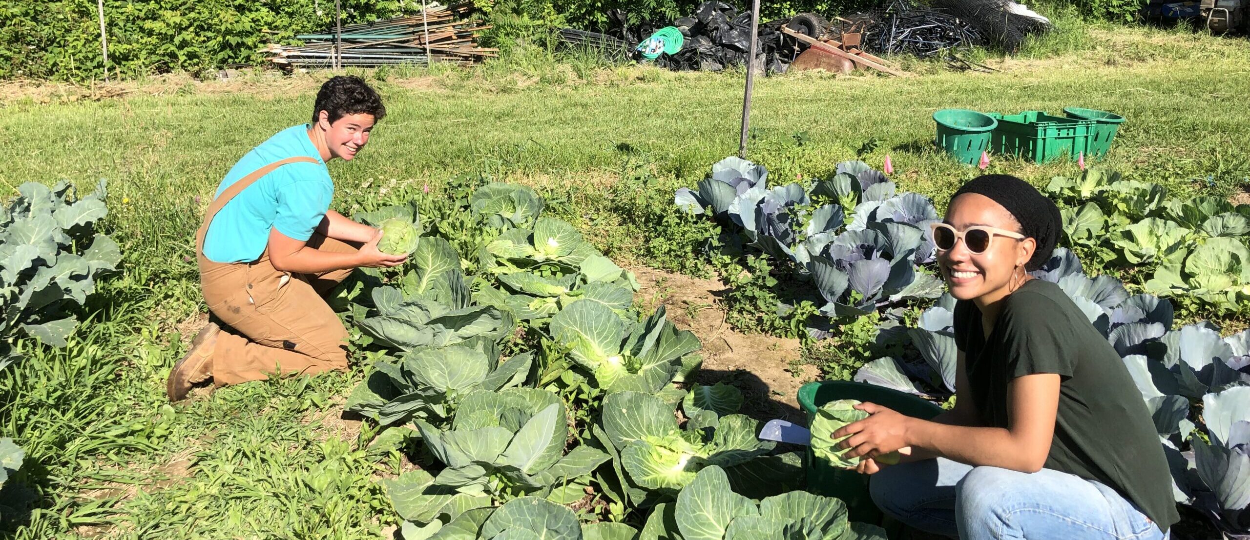 D0D4F24E F628 43B9 ABEA 3C9C56D9391F scaled e1678734103744