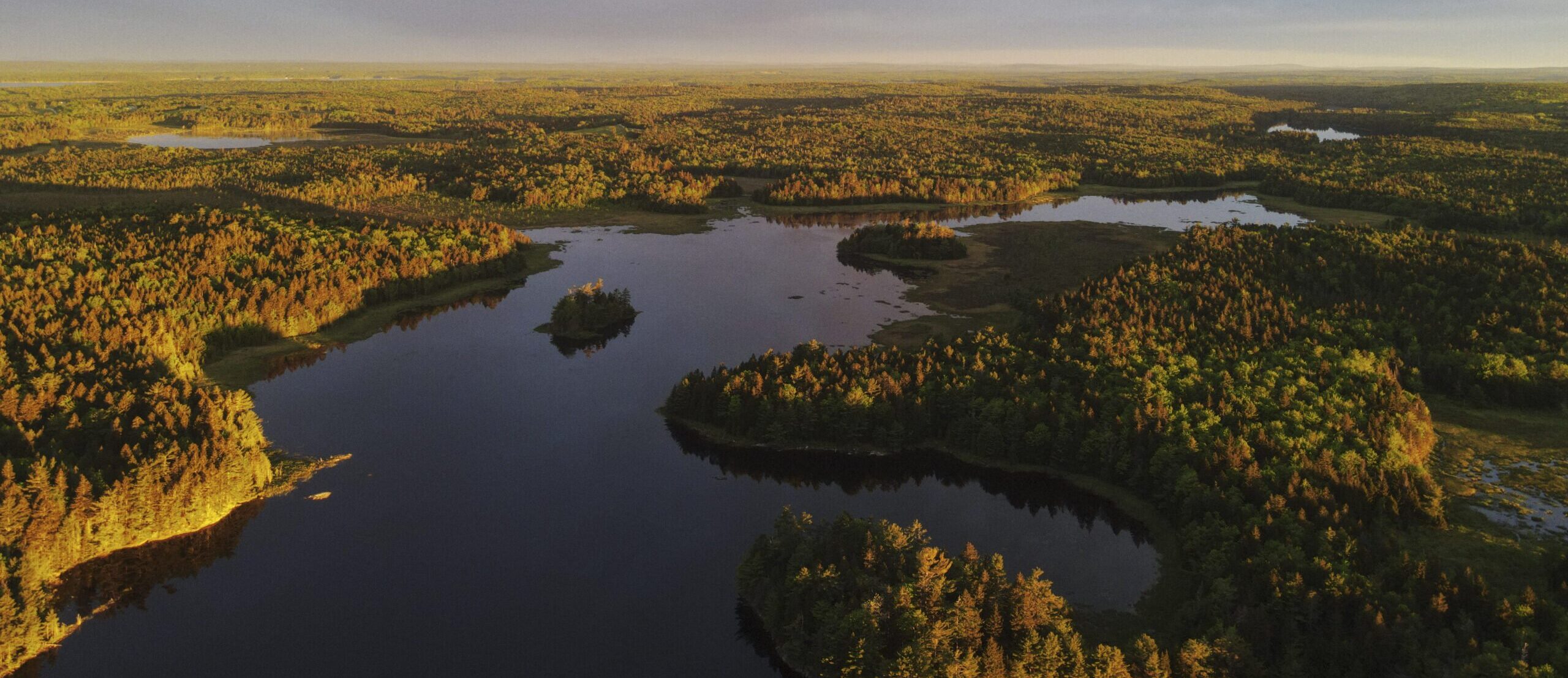 Land Conservation and Climate Change