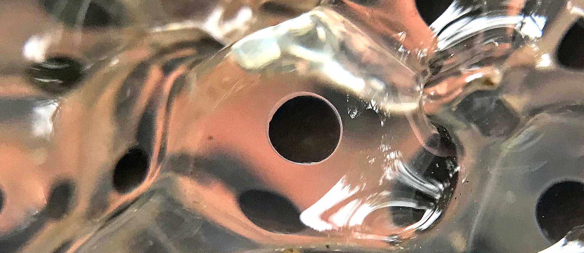 mcht 1 woodfrog eggs hero2 2