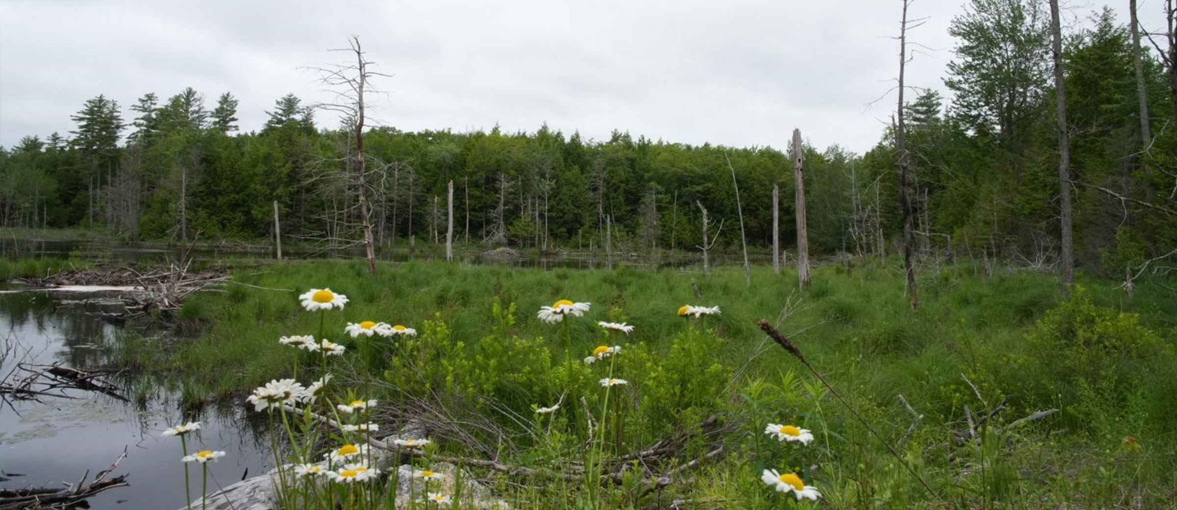 Myla, what are you doing this summer?