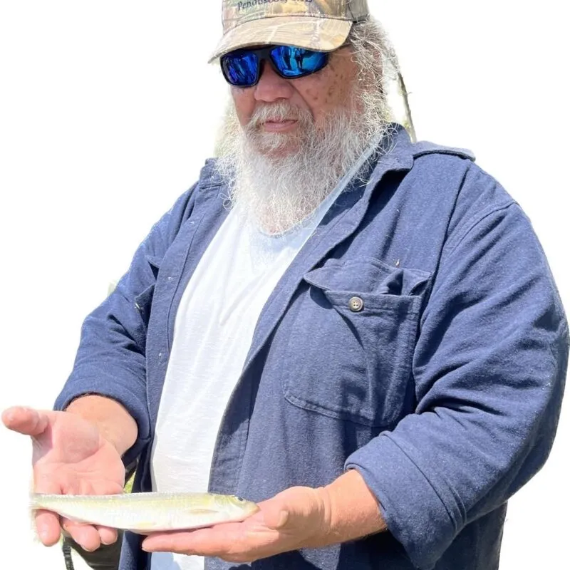 BWB e1694440710831 800x800