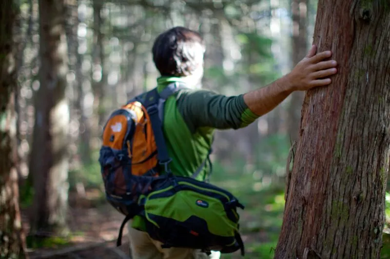 schoodic southeast park boundary 800x533