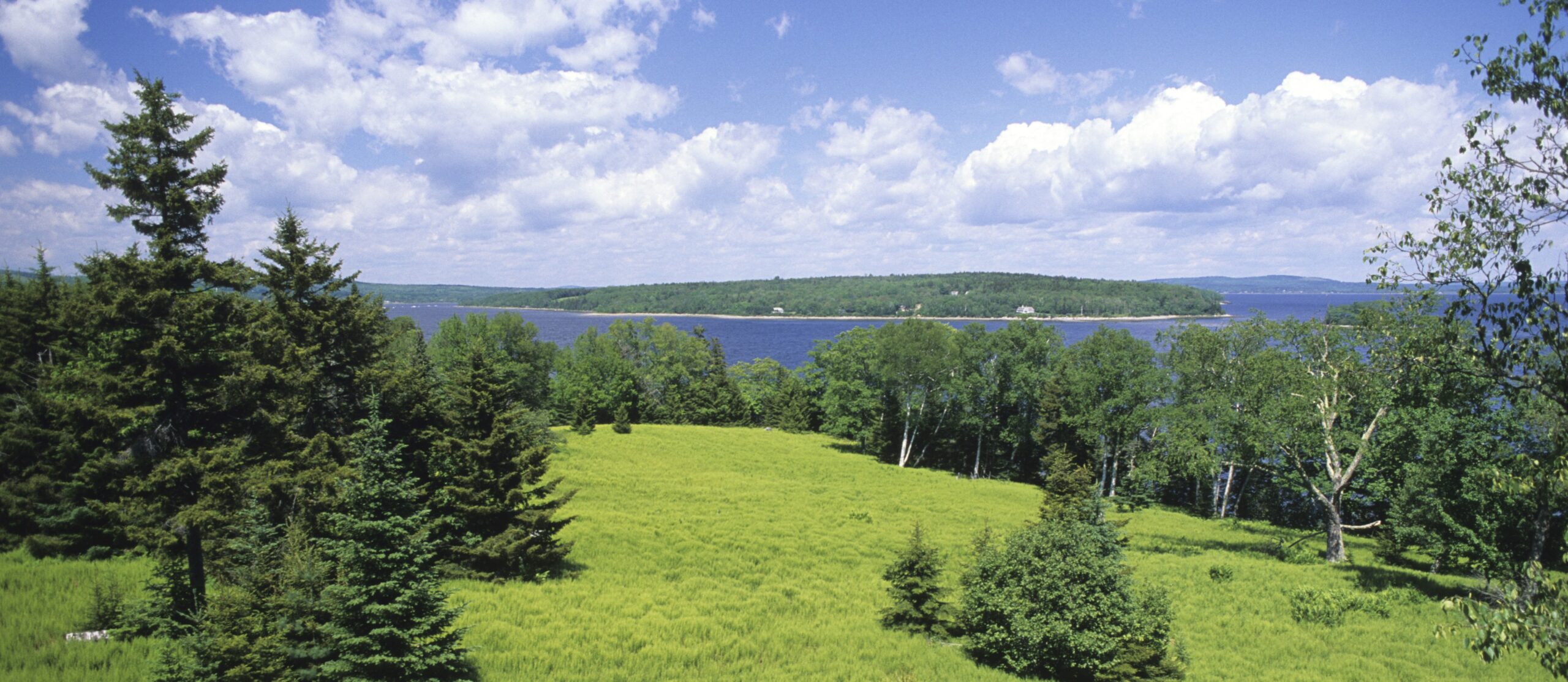 Update on Sears Island