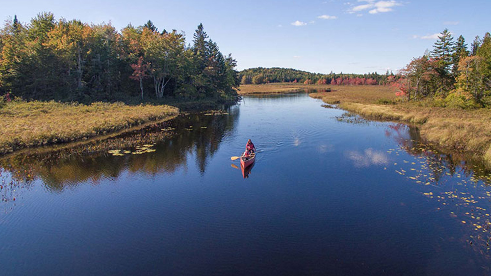 lake nature connects