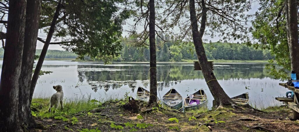 20240816 113129 scaled e1724693187489 2048x904