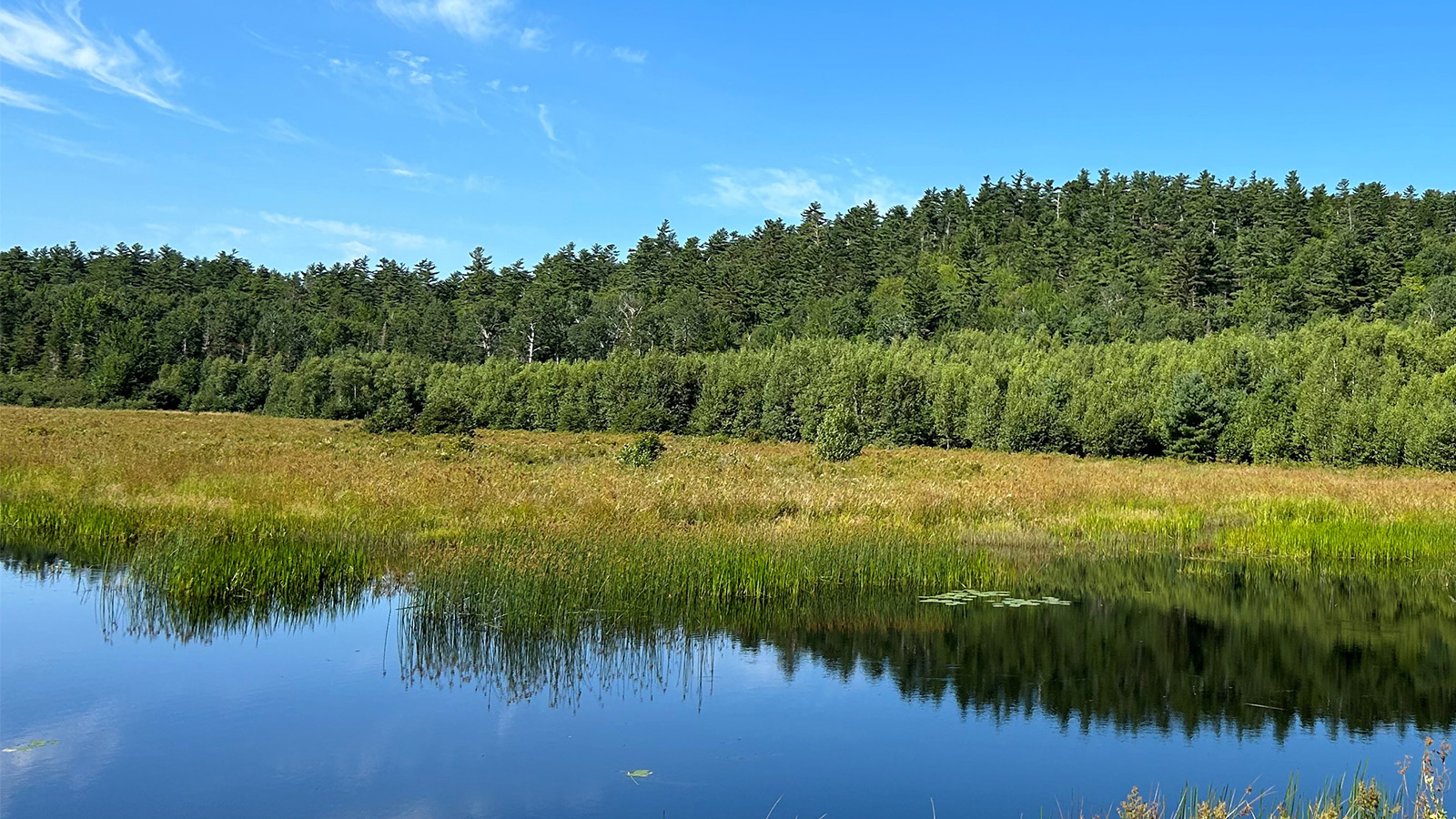on the hunt nature connects
