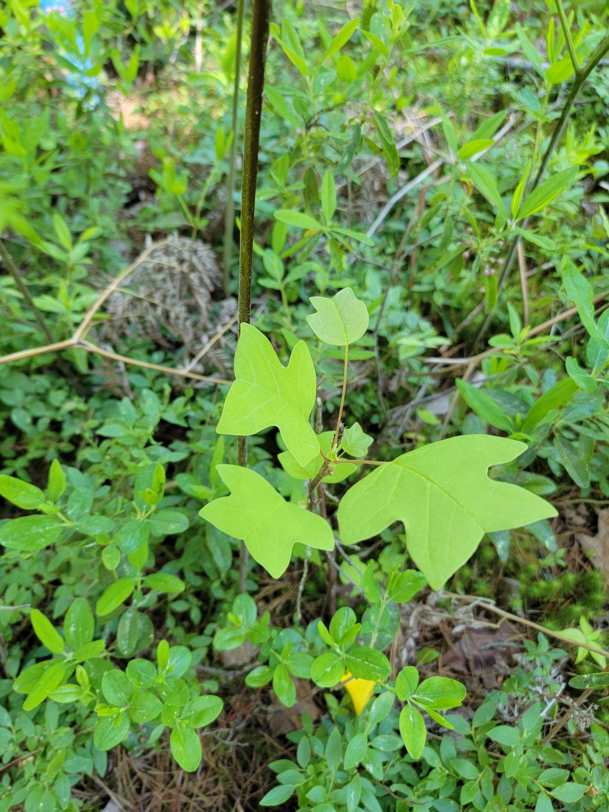 Part II: Getting There From Here