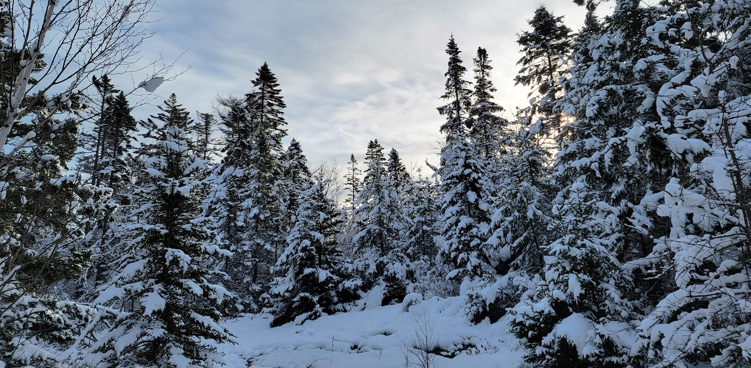 20231206 084458 Hero Image 2560x1255 1