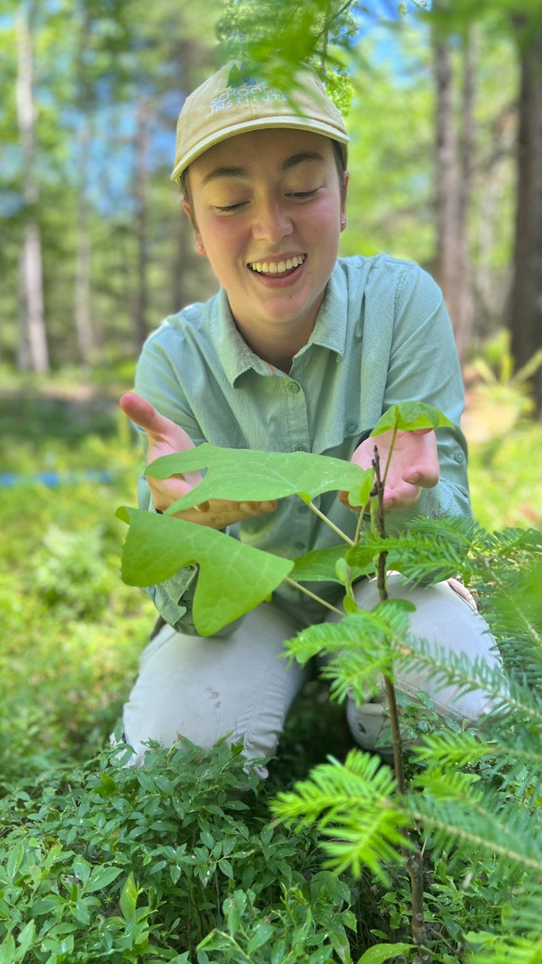 Tulip Ffcm Halbert 768x1365