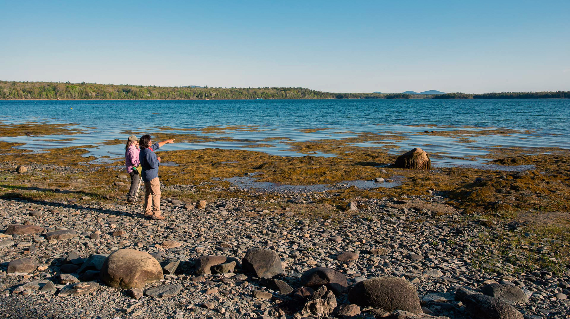 mcht Old Point 5 20 kw07728 full