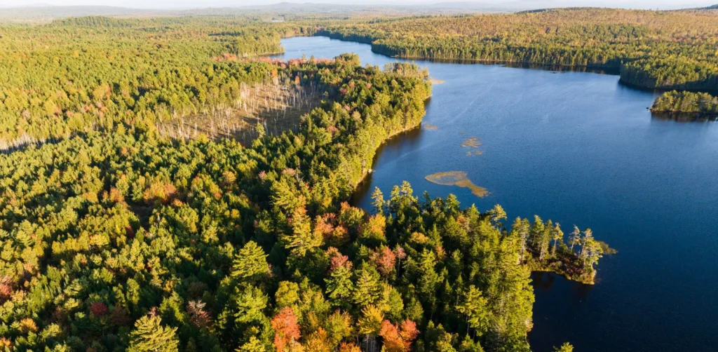 HERO Monkman MENFS D31562 2048x1004