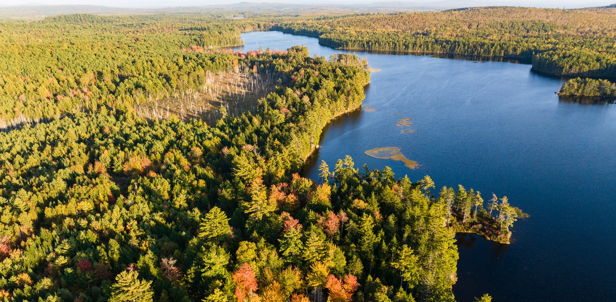 HERO Monkman MENFS D31562 2048x1004