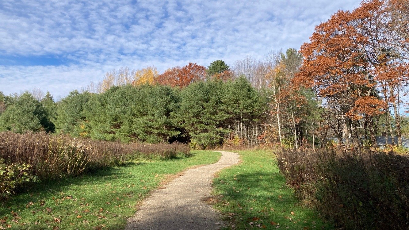 6587E138 7380 4352 88B6 2A5CF135328B 1