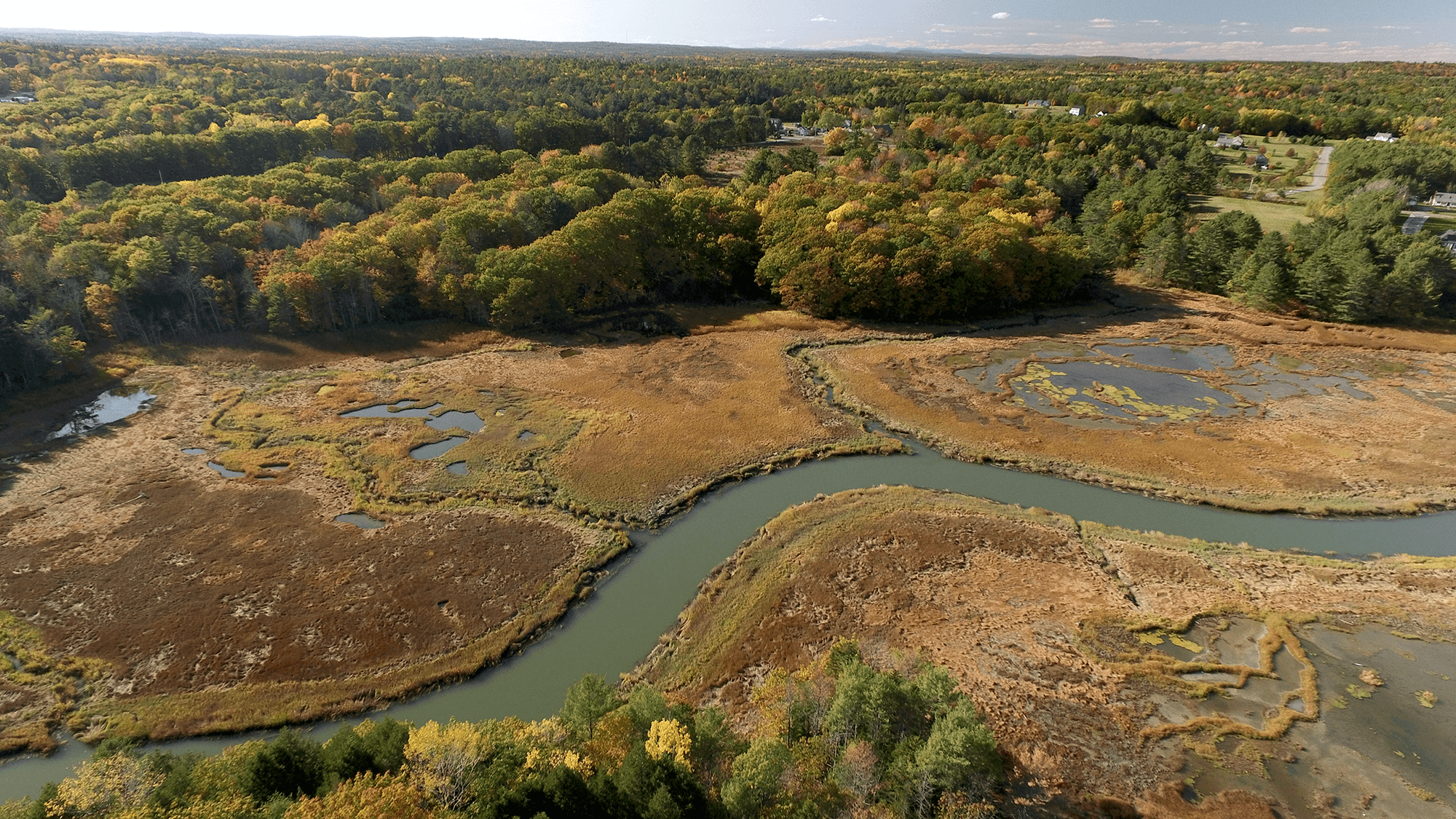 Cousins River Marsh frontage