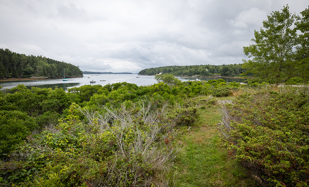 Malaga Inset img 4B0A5026 1000x605