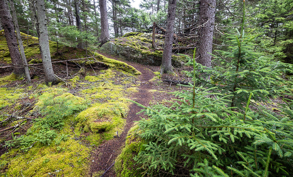 Malaga Inset img 4B0A5078 1000x605