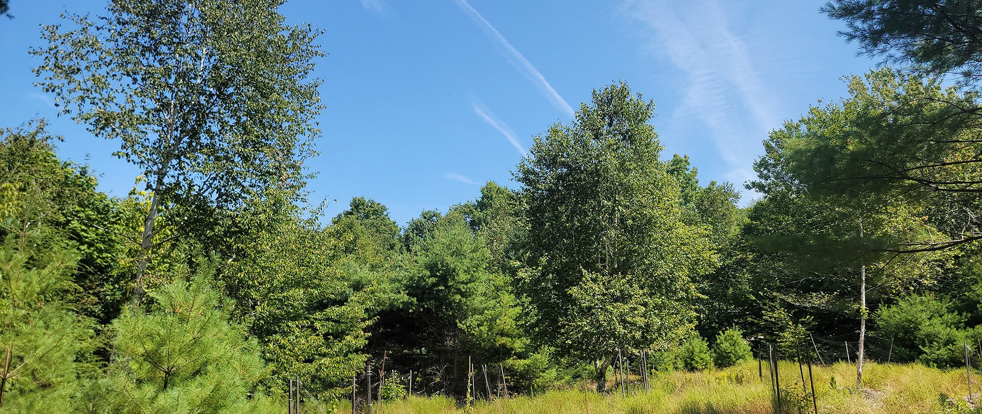 20250808 110634 2000x845 compressed