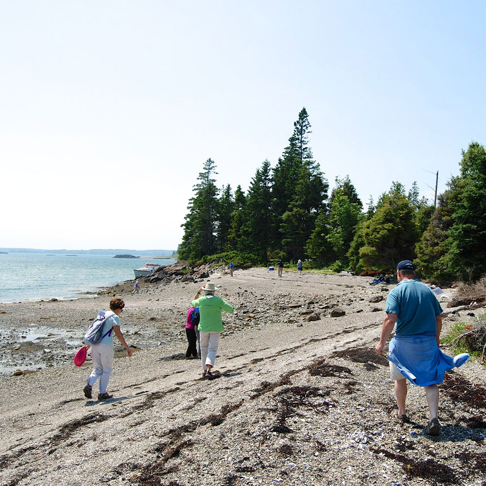 1000x1000 047 14580428199 o