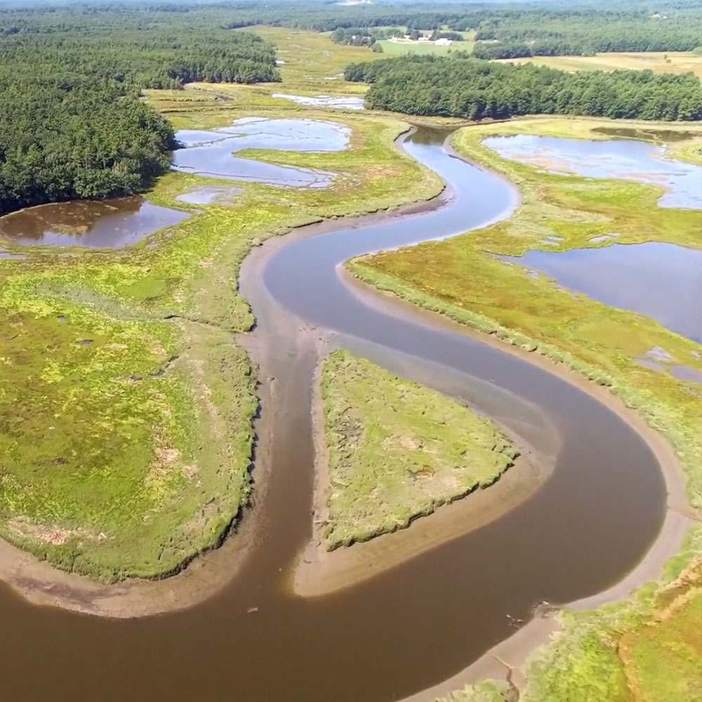 1000x1000 york river still