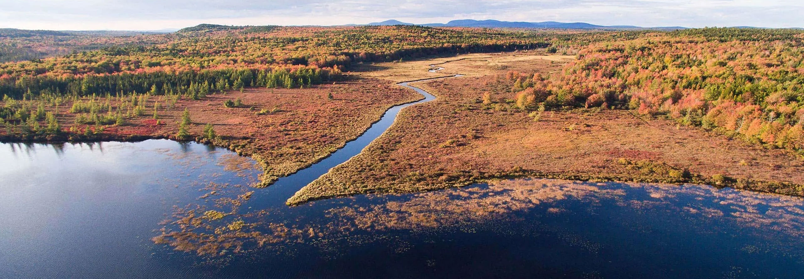 2560x889 mcht Forbes Ponddji 0130 hero