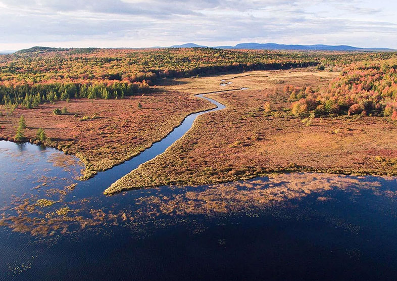 786x556 mcht Forbes Ponddji 0130 hero