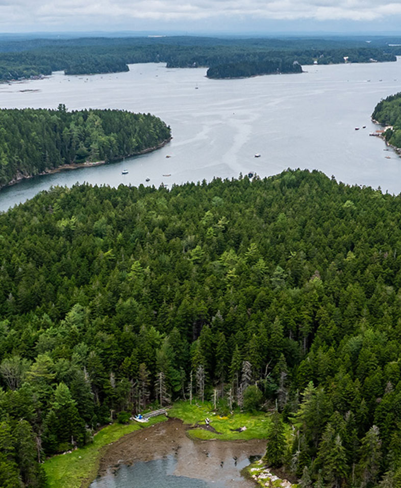 786x956 Malaga Header Img 20240721220049