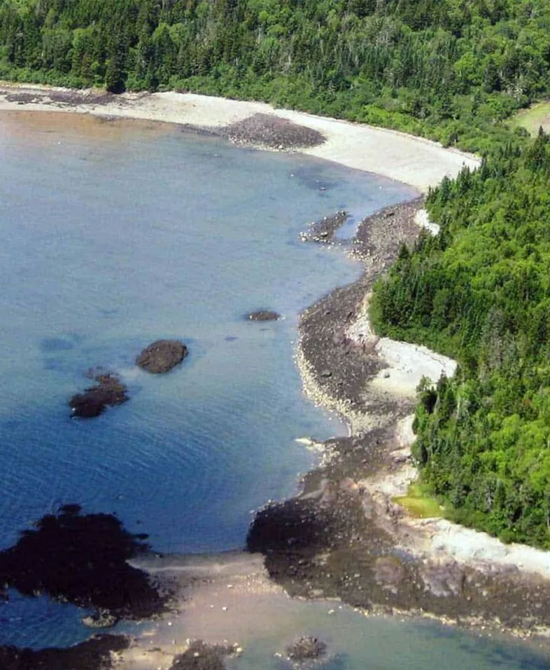 786x956 mcht 2168longpoint 2400w