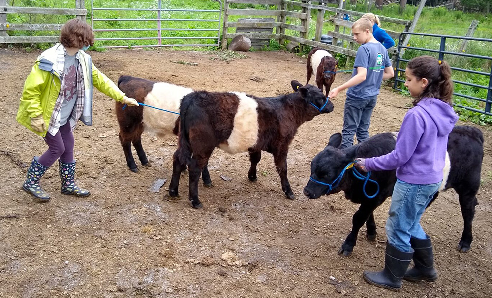 Aldemere Inset img 20210714 1000x605