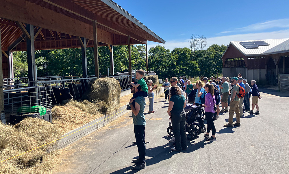 Aldemere Inset img 8933 1000x605