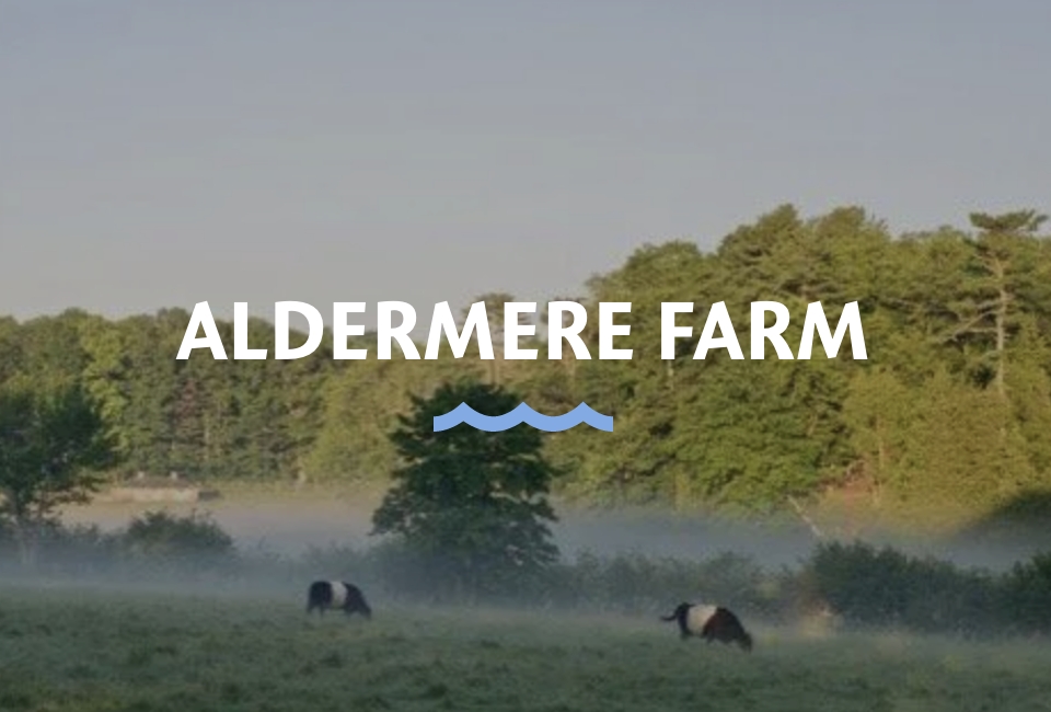 Aldemere Location 480x325