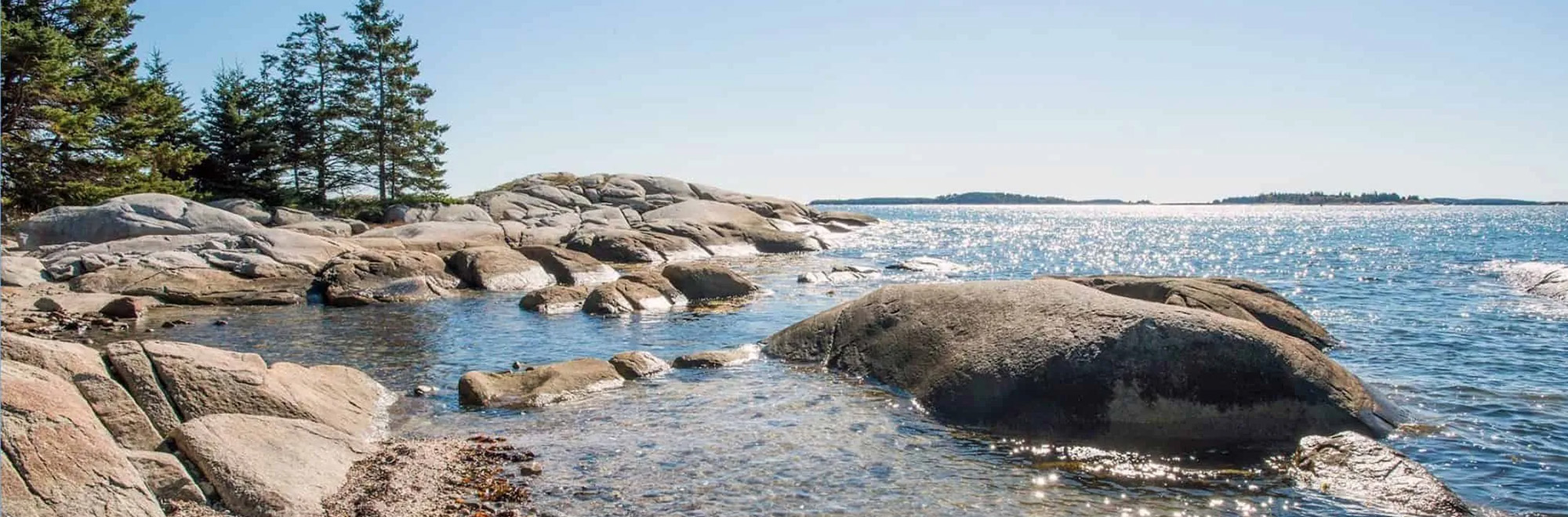 Ash Header Img 06446 2000x660