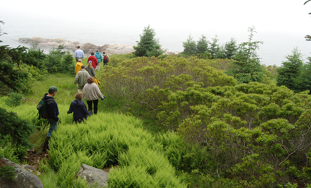 Ash Inset img 0301 1000x605