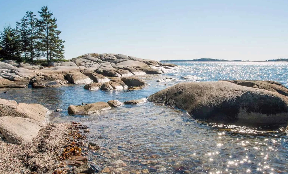 Ash Inset img 06446 1000x605