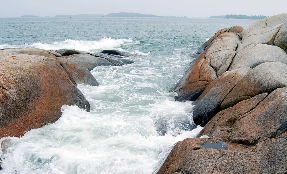 Ash Inset img 121921898 1000x605