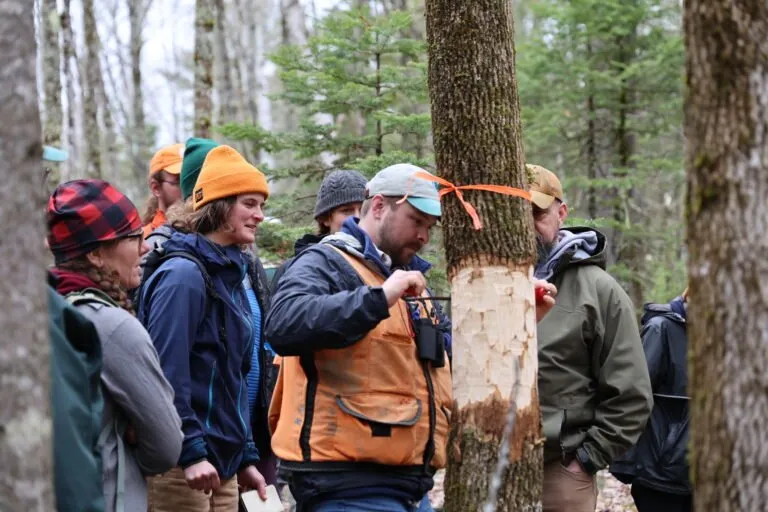 Ash protection workshop 768x512