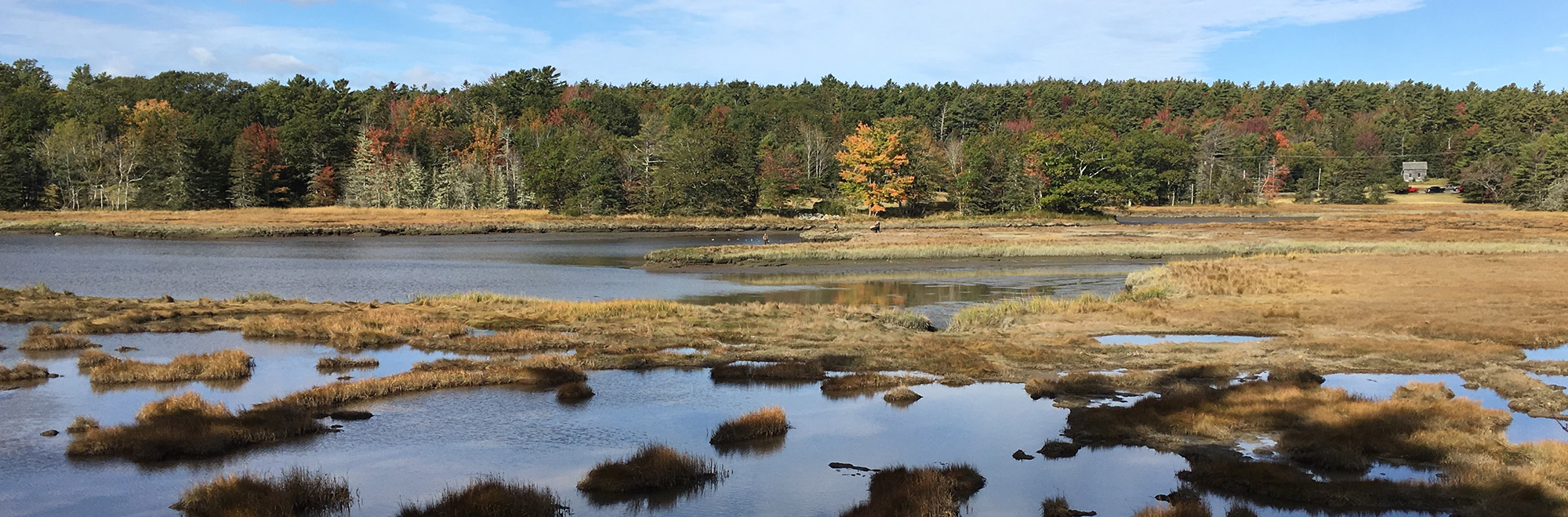 Babson Header Img Gilpatrick 2000x660