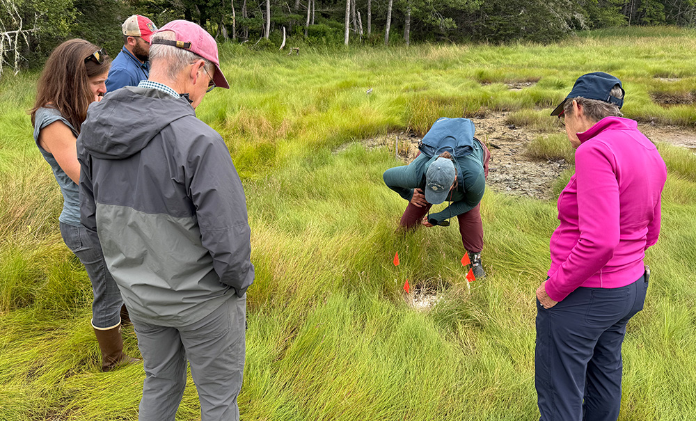 Babson Inset img 07312025 1000x605