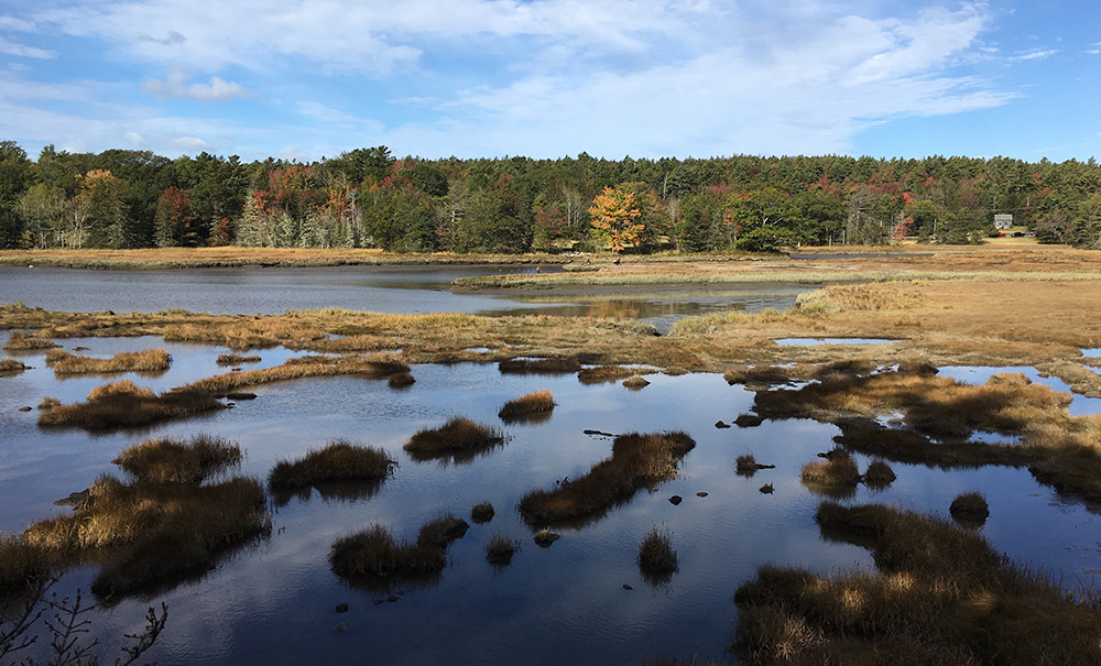 Babson Inset img Gilpatric 1000x605