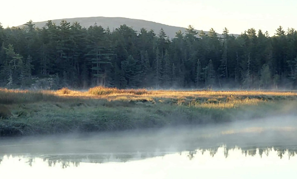 Babson Inset img saragrayB 1000x605