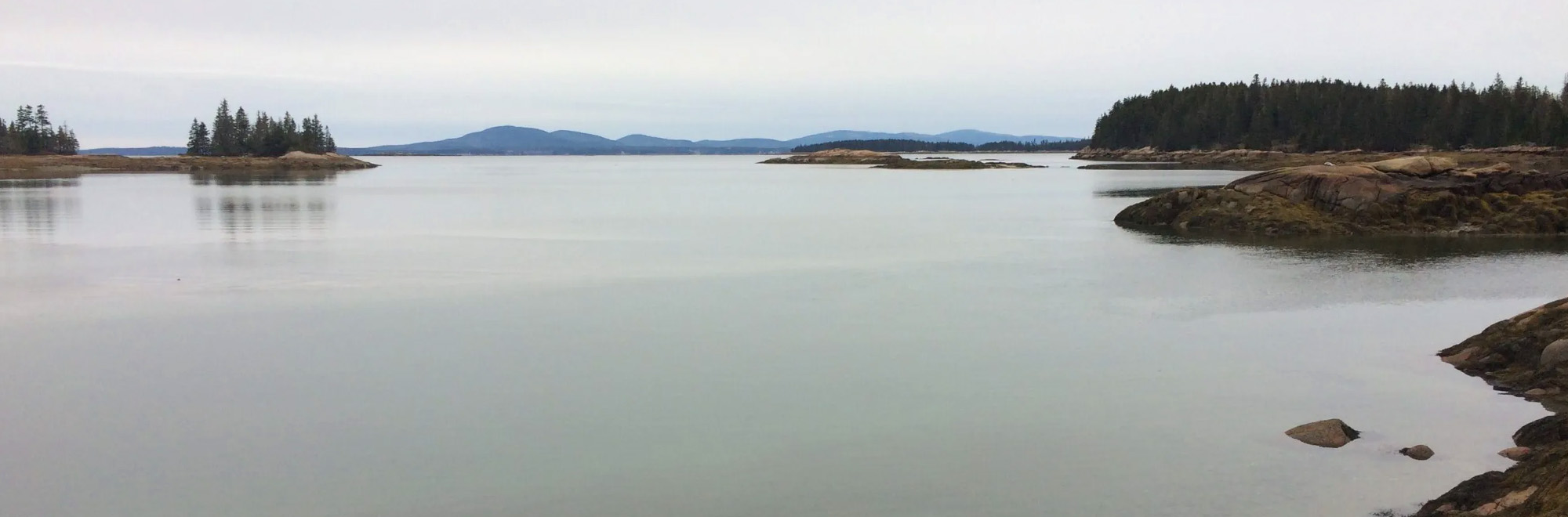 Back Cove Header Img 1818 2000x660