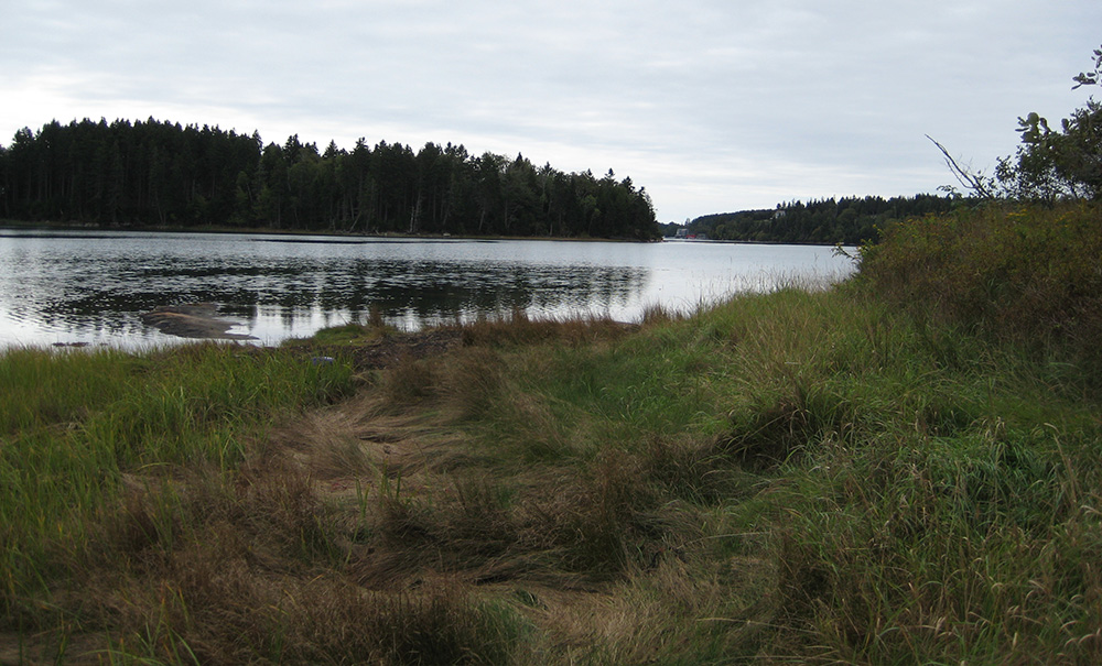 Back Cove Inset img South Shore 1000x605